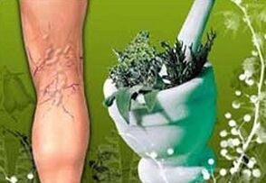 Kräuter zur Behandlung von Krampfadern.